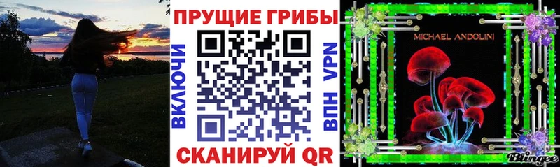 Псилоцибиновые грибы GOLDEN TEACHER  Красково 
